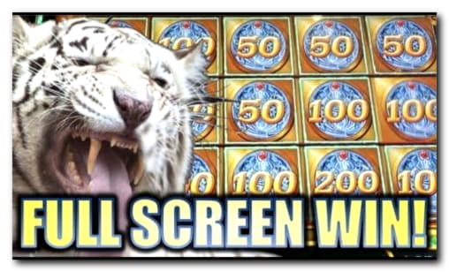 175 Besplatni okret odmah u BGO Casinu